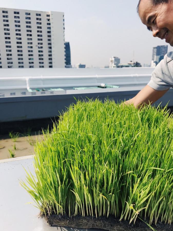 Siamplaengna Residence สยามแปลงนา เรสซิเดนท์ Bangkok Buitenkant foto